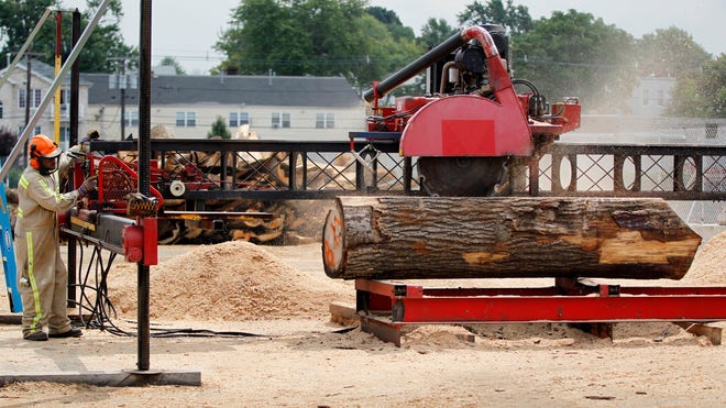 Urban Sawmill_Angu.jpg